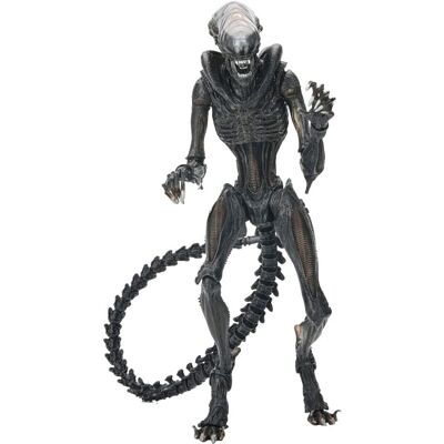 Figurine Xénomorphe Brûlé - Romulus NECA 18cm - Publicité Figurine Xénomorphe Brûlé - Romulus NECA 18cm - Publicité