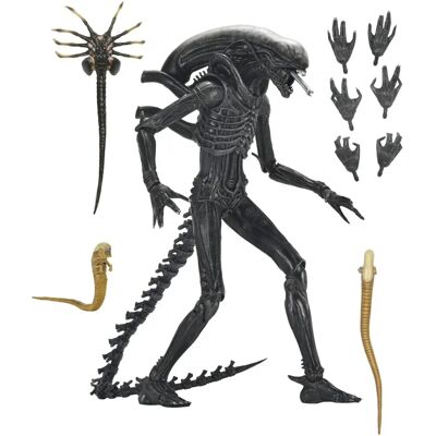 NECA Alien: Romulus - Figurine d'action XX121 - 18cm - Collection NECA Alien: Romulus - Figurine d'action XX121 - 18cm - Collection