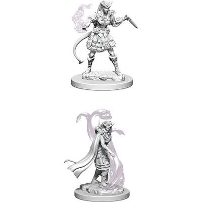 WizKids D&D Sorcier Tiefling - Miniatures à peindre - Publicité WizKids D&D Sorcier Tiefling - Miniatures à peindre - Publicité