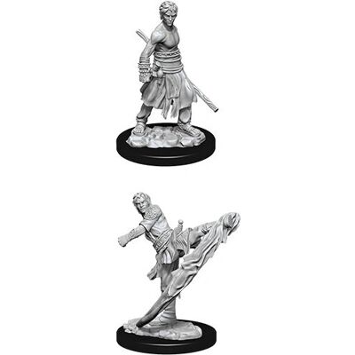 WizKids 73838 figurine collectible/statue - Set de miniatures Wargame D&D - Publicité WizKids 73838 figurine collectible/statue - Set de miniatures Wargame D&D - Publicité