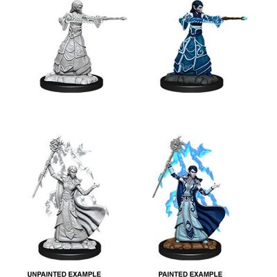 WizKids WZK90061 Miniature Elfe Magicienne Non Peinte - Figur Collectible - Publicité WizKids WZK90061 Miniature Elfe Magicienne Non Peinte - Figur Collectible - Publicité