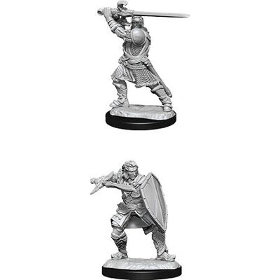 WizKids - Nolzur's Marvelous Miniatures - Human Paladin - Miniature WizKids - Nolzur's Marvelous Miniatures - Human Paladin - Miniature