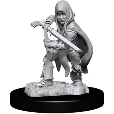 WizKids Halfling Rogue Male - Miniatures WizKids Halfling Rogue Male - Miniatures
