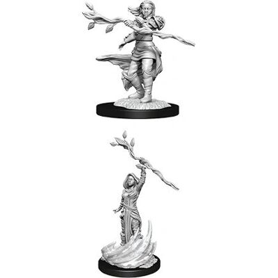 WizKids Human Druid Miniature - D&D Nolzur's Series WizKids Human Druid Miniature - D&D Nolzur's Series