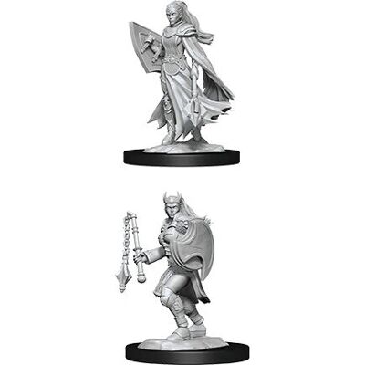 WizKids Kalashtar Cleric - Miniature non peinte - Publicité WizKids Kalashtar Cleric - Miniature non peinte - Publicité