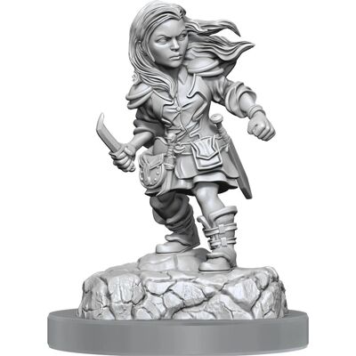 WizKids 90403 figurine collectible - Pack de 2 miniatures Nolzur's D&D - Publicité WizKids 90403 figurine collectible - Pack de 2 miniatures Nolzur's D&D - Publicité