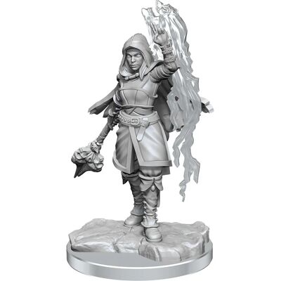 WizKids 90410 collectible figure - Dungeons & Dragons Miniatures 2-pack WizKids 90410 collectible figure - Dungeons & Dragons Miniatures 2-pack