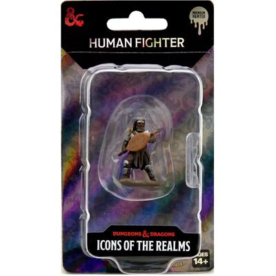 WizKids WizKids/NECA D&D Icons Of The Realms Premium Male Human Fighter - 6 Units WizKids WizKids/NECA D&D Icons Of The Realms Premium Male Human Fighter - 6 Units