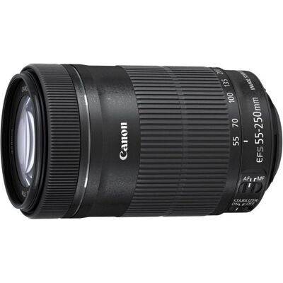 Canon EF-S 55-250mm f/4-5.6 IS STM Telephoto Lens Canon EF-S 55-250mm f/4-5.6 IS STM Telephoto Lens