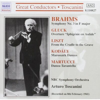 NAXOS Strauss Klassisk Musik CD - Symfoni & Opera NAXOS Strauss Klassisk Musik CD - Symfoni & Opera