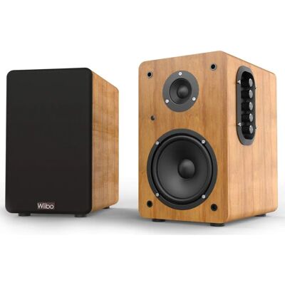 Wiibo Neo 100 Bluetooth Högtalare - Professionellt bruk Wiibo Neo 100 Bluetooth Högtalare - Professionellt bruk