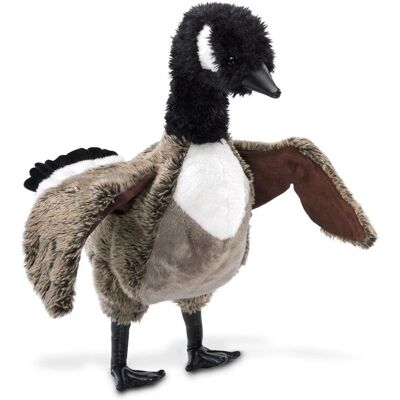 Folkmanis Bärenhandpuppe - Handpuppe Folkmanis Bärenhandpuppe - Handpuppe