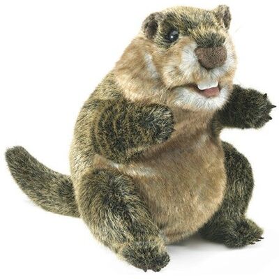 Folkmanis Murmeltier-Puppe - Ausdrucksvolles Gesicht, Tief grabend Pfoten - Marionette Folkmanis Murmeltier-Puppe - Ausdrucksvolles Gesicht, Tief grabend Pfoten - Marionette