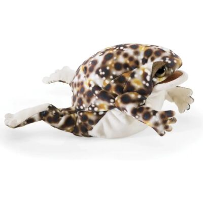 Folkmanis - Desert-Regenfrosch-Puppe - Plüsch - Handpuppe - Puppe Folkmanis - Desert-Regenfrosch-Puppe - Plüsch - Handpuppe - Puppe