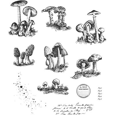 Tampons en caoutchouc Tiny Toadstools de Tim Holtz - Tampons en caoutchouc Tampons en caoutchouc Tiny Toadstools de Tim Holtz - Tampons en caoutchouc