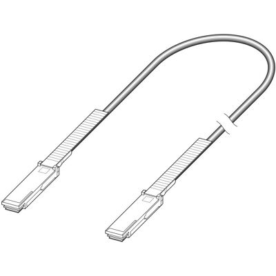 Extreme Networks - 40G-AOC-QSFP10M - QSFP+ - 10 m - Cabo Extreme Networks - 40G-AOC-QSFP10M - QSFP+ - 10 m - Cabo