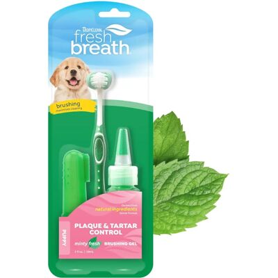 Set de botella de limpieza bucal Tropiclean para perros 59 ml - Kit de cuidado oral para perros Set de botella de limpieza bucal Tropiclean para perros 59 ml - Kit de cuidado oral para perros