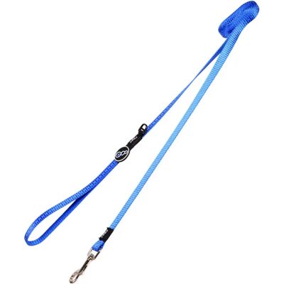 Laisse pour chien Rogz bleue - Classic, Utility, Nitelife, Snake, Fanbelt, Lumberjack, Landing Strip - Publicité Laisse pour chien Rogz bleue - Classic, Utility, Nitelife, Snake, Fanbelt, Lumberjack, Landing Strip - Publicité