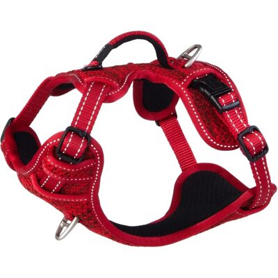 Rogz Rogz Explore Sjx14 Harnais en Nylon pour Chiens - Harnais pour Chiens - Publicité Rogz Rogz Explore Sjx14 Harnais en Nylon pour Chiens - Harnais pour Chiens - Publicité