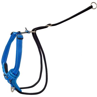 Rogz Marca Modelo Spsj05 Arnés Para Perros Azul XL - Arnés para perros Rogz Marca Modelo Spsj05 Arnés Para Perros Azul XL - Arnés para perros