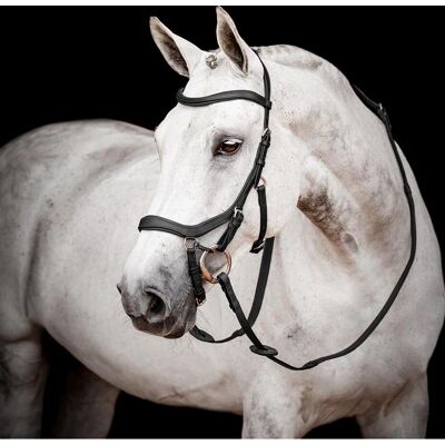 Horseware Ireland Micklem 2 Wettkampftrense - Schwarz Horseware Ireland Micklem 2 Wettkampftrense - Schwarz