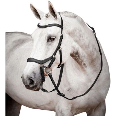 Horseware Ireland Micklem 2 Schwarz - Trense Horseware Ireland Micklem 2 Schwarz - Trense