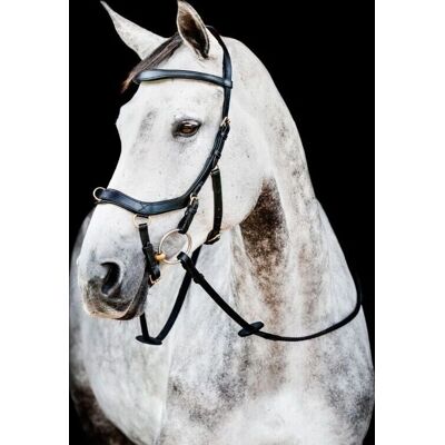 Horseware Ireland Trense Micklem 2 Multi Bridle Micklemtrense Horseware Ireland Trense Micklem 2 Multi Bridle Micklemtrense