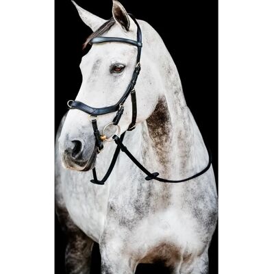 Horseware Ireland Trense Micklem 2 Multi Bridle Micklemtrense Horseware Ireland Trense Micklem 2 Multi Bridle Micklemtrense
