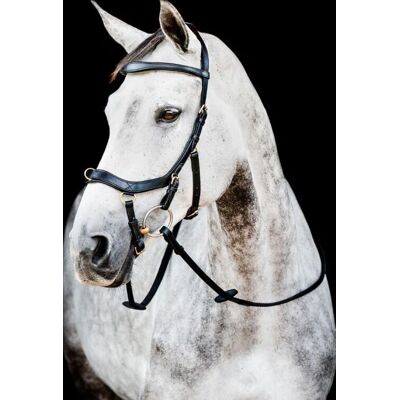 Horseware Ireland Trense Micklem 2 Multi Bridle Micklemtrense Schwarz Horseware Ireland Trense Micklem 2 Multi Bridle Micklemtrense Schwarz
