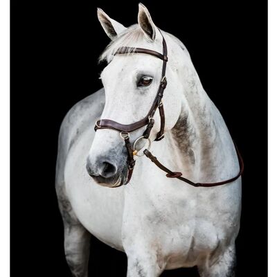 Horseware Ireland Trense Micklem 2 Multi Bridle Dark Havana - Bridle Horseware Ireland Trense Micklem 2 Multi Bridle Dark Havana - Bridle