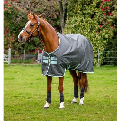 Horseware Ireland - Amigo Hero Ripstop 50g - Couverture cheval - Publicité Horseware Ireland - Amigo Hero Ripstop 50g - Couverture cheval - Publicité