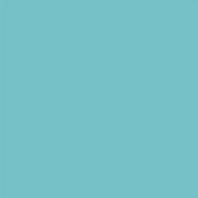 Superior Specialties Alpine 55 - 1.35m x 11m Papier de fond Superior Specialties Alpine 55 - 1.35m x 11m Papier de fond