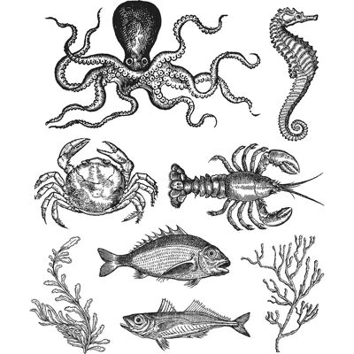 Tim Holtz Sea Life - Stampers Tim Holtz Sea Life - Stampers