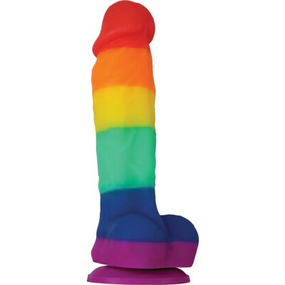 NS Novelties Regenbogen Silikon Realistischer Dildo - Vaginal & Anal Sicher NS Novelties Regenbogen Silikon Realistischer Dildo - Vaginal & Anal Sicher