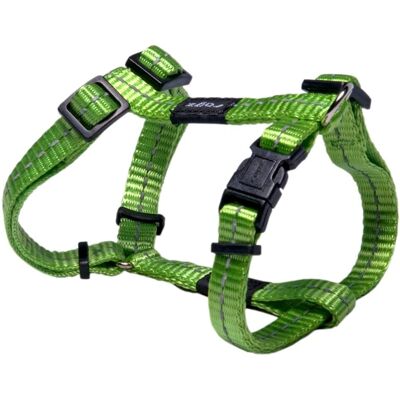 Arnés de Nylon Verde Rogz - S Arnés de Nylon Verde Rogz - S