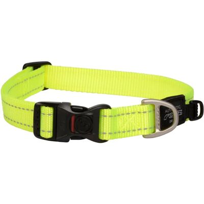 Hond halsband Rogz - DayGlo, Reflecterend, Verstelbaar Hond halsband Rogz - DayGlo, Reflecterend, Verstelbaar