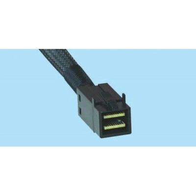 Supermicro SCSI-Kabel SAST-0550 - 0,25 m Schwarz Supermicro SCSI-Kabel SAST-0550 - 0,25 m Schwarz