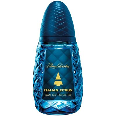Pino Silvestre Agrumi Italiani Eau de Toilette - Uomo 125ml Pino Silvestre Agrumi Italiani Eau de Toilette - Uomo 125ml