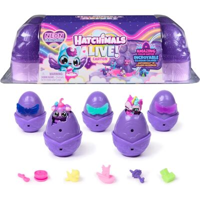Hatchimals Marka Neon Rainbow Jajko Zestaw Zabawek - Zestaw Jajko Zabawek Hatchimals Marka Neon Rainbow Jajko Zestaw Zabawek - Zestaw Jajko Zabawek