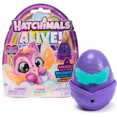 Hatchimals Neon Regenbogen - Spielzeug Hatchimals Neon Regenbogen - Spielzeug