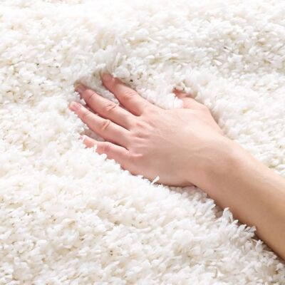Safavieh Crosby polypropylène blanc 183x122 cm Tapis - Publicité Safavieh Crosby polypropylène blanc 183x122 cm Tapis - Publicité