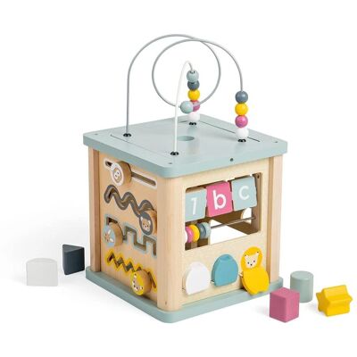 Bigjigs Toys Aktivitätswürfel - Buntes Lernspielzeug aus Holz für Kleinkinder Bigjigs Toys Aktivitätswürfel - Buntes Lernspielzeug aus Holz für Kleinkinder