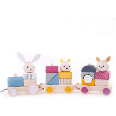 Bigjigs Toys Activity Pull Along Train - FSC 100% Unisex Bigjigs Toys Activity Pull Along Train - FSC 100% Unisex