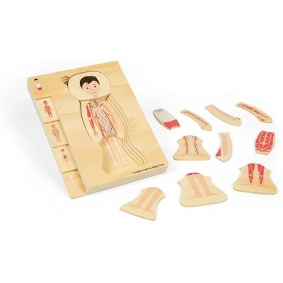Bigjigs Anatomie Puzzle - Junge, 26 Stück, Mehrfarbig Bigjigs Anatomie Puzzle - Junge, 26 Stück, Mehrfarbig
