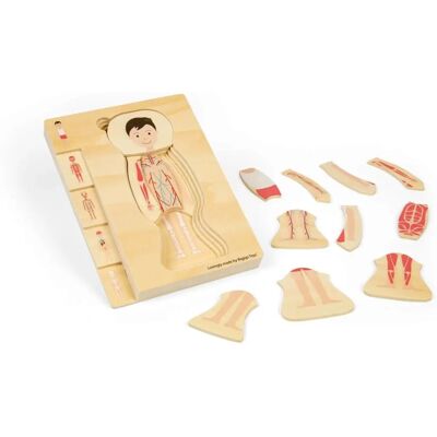 Bigjigs Anatomie Puzzel - Jongen, 26 st., Multi kleuren Bigjigs Anatomie Puzzel - Jongen, 26 st., Multi kleuren