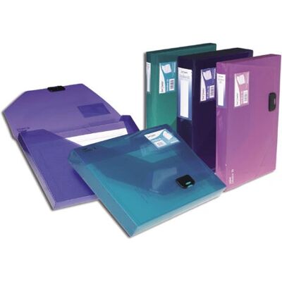Snopake 12849 Klarsicht-Ordner - 350 Blatt Snopake 12849 Klarsicht-Ordner - 350 Blatt