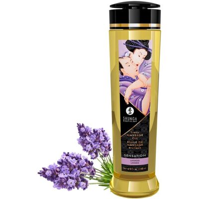 Olio per Massaggi Lavanda Shunga - Olio Erotico 240 ml Olio per Massaggi Lavanda Shunga - Olio Erotico 240 ml