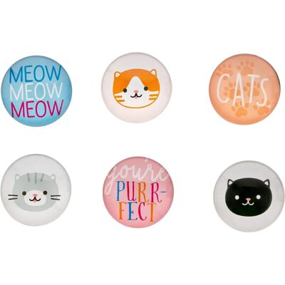 Pearhead kattenmagneten set - Keukendecoratie - 6 magneten Pearhead kattenmagneten set - Keukendecoratie - 6 magneten