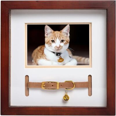 Pearhead Pet Collier Pour Chien Ou Chat Parfait Pour Les Amoureux Des Animaux De Compagnie Expresso - Dierenhalsband Pearhead Pet Collier Pour Chien Ou Chat Parfait Pour Les Amoureux Des Animaux De Compagnie Expresso - Dierenhalsband