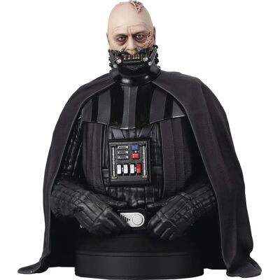 Gentle Giant Star Wars Darth Vader Mini-Buste - Échelle 1/6 - Publicité Gentle Giant Star Wars Darth Vader Mini-Buste - Échelle 1/6 - Publicité